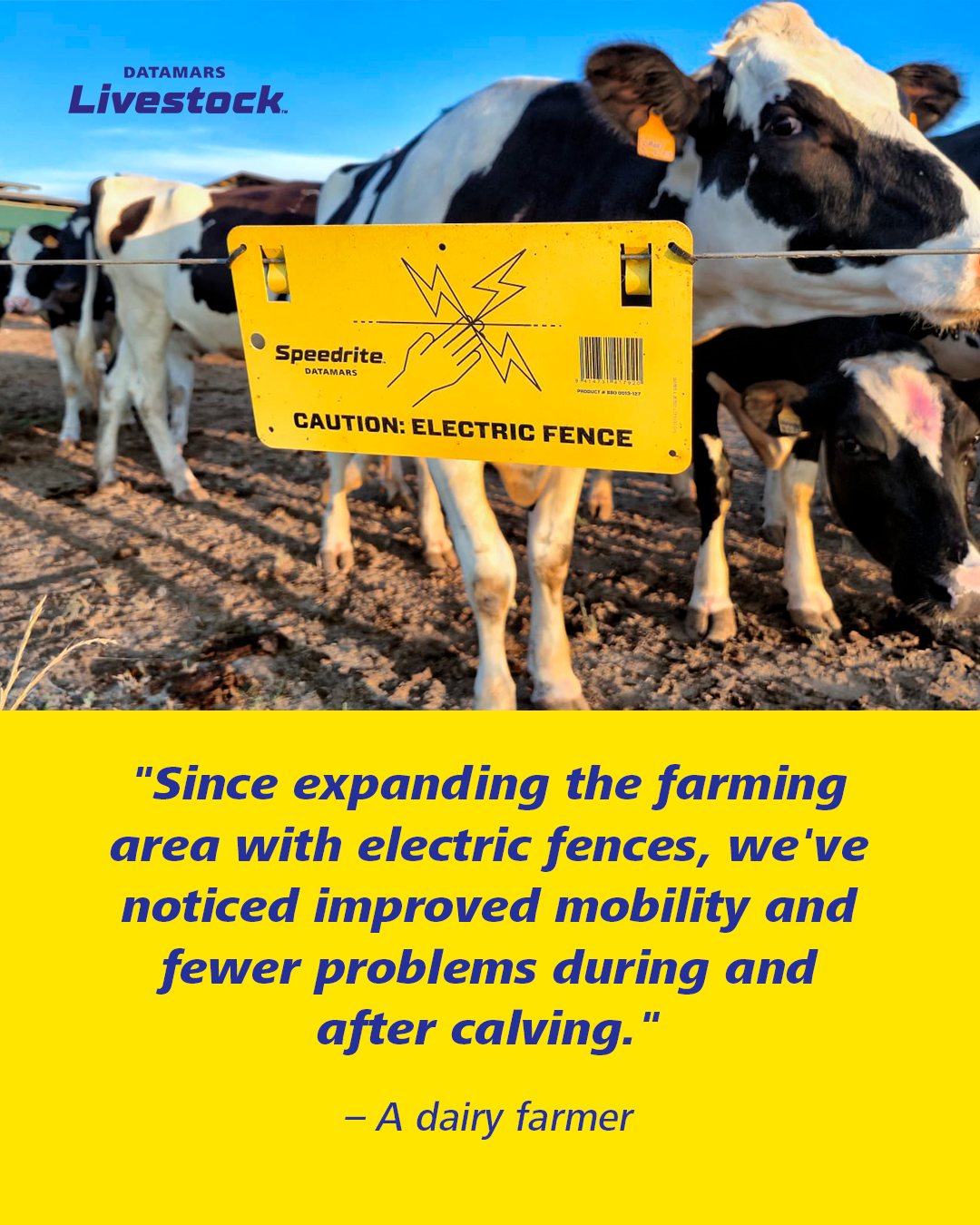 Datamars - 🐄Do your cows have enough space to move freely? More space ...