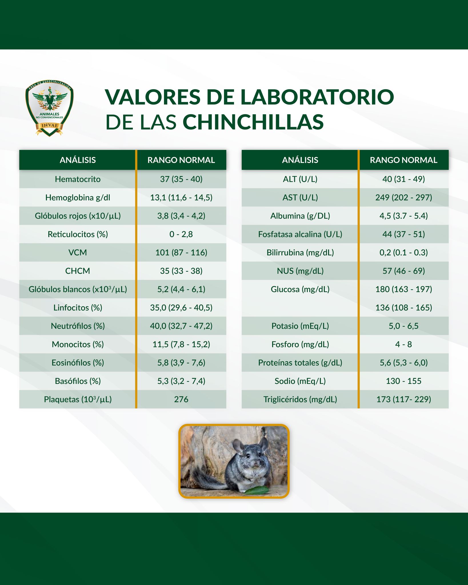 INVAE - VALORES DE LABORATORIO DE LAS CHINCHILLAS 🐀 Las chinchillas ...