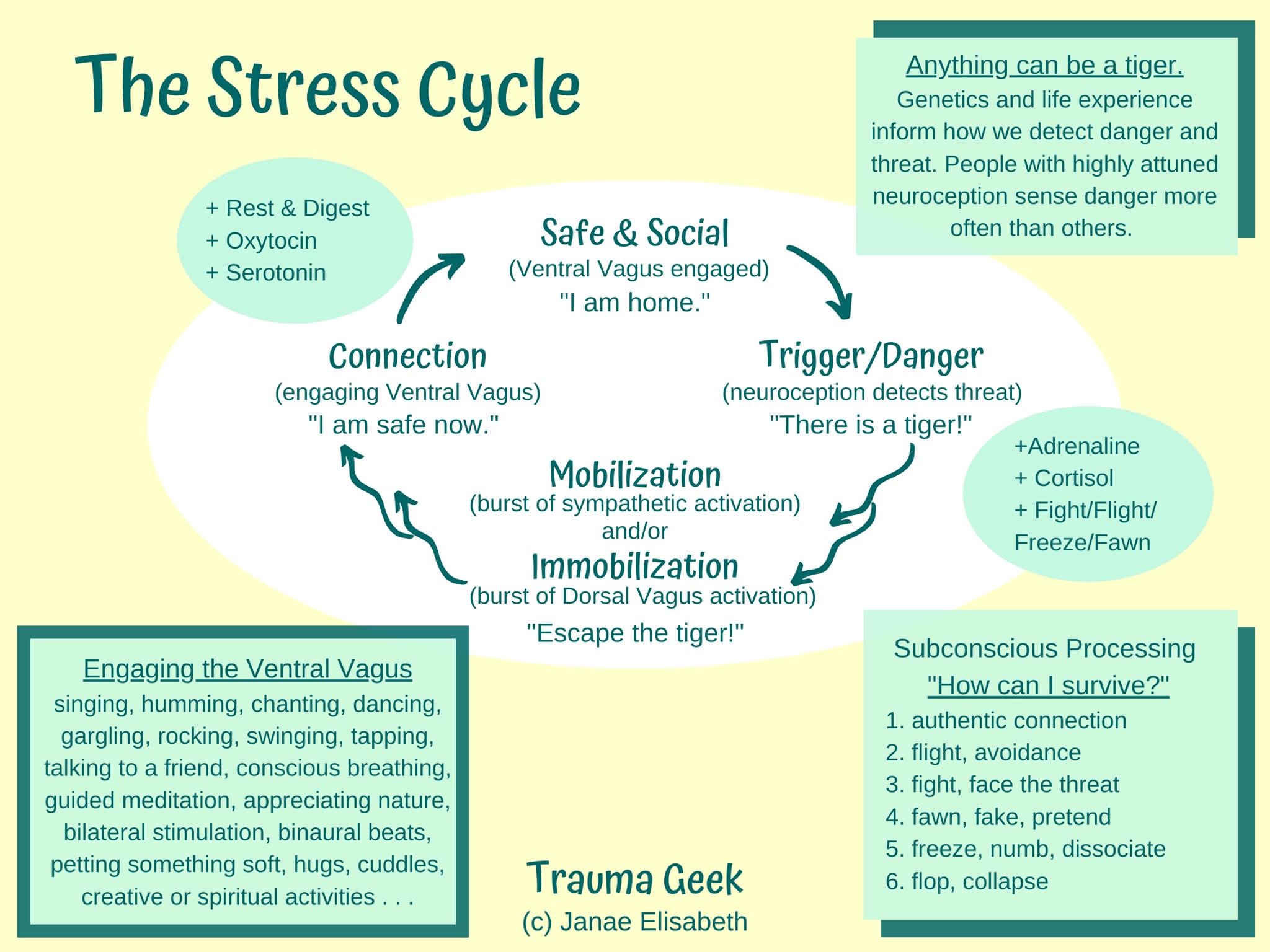 Let's learn about the... - Trauma Geek - Janae Elisabeth | Facebook