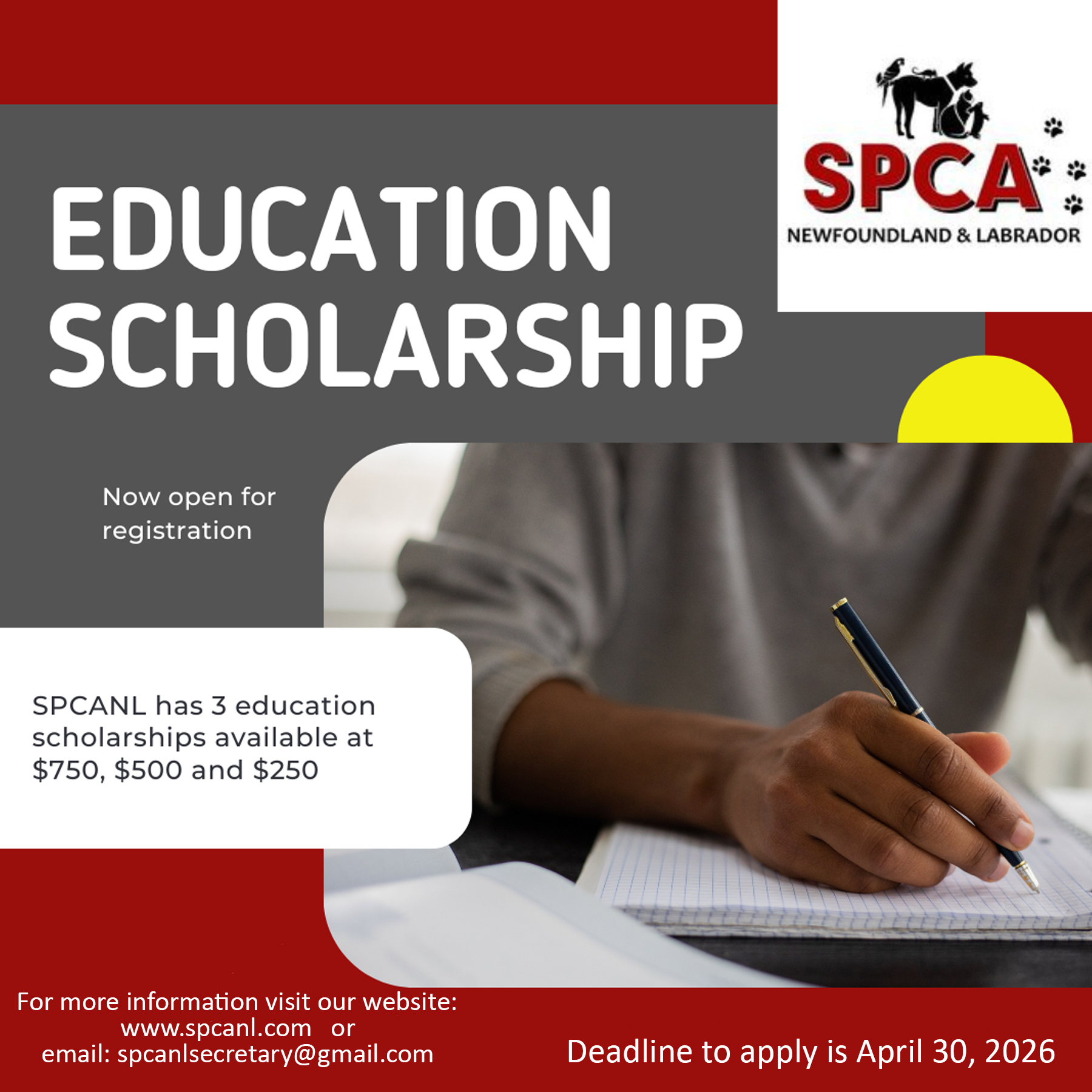 SPCA - Hey students! Check out these scholarships offered through SPCA ...