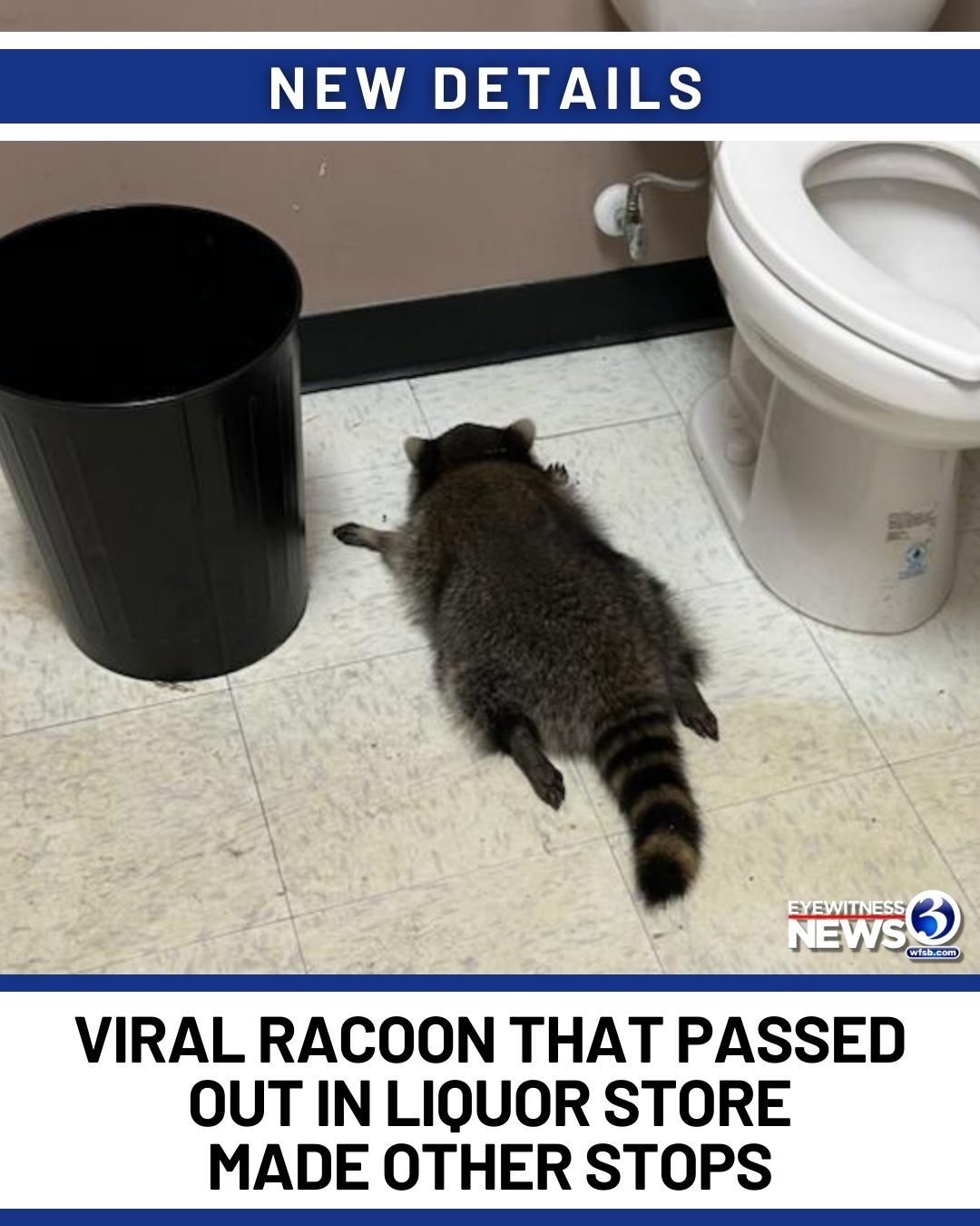 UPDATE: An animal... - WFSB - Channel 3 Eyewitness News | Facebook