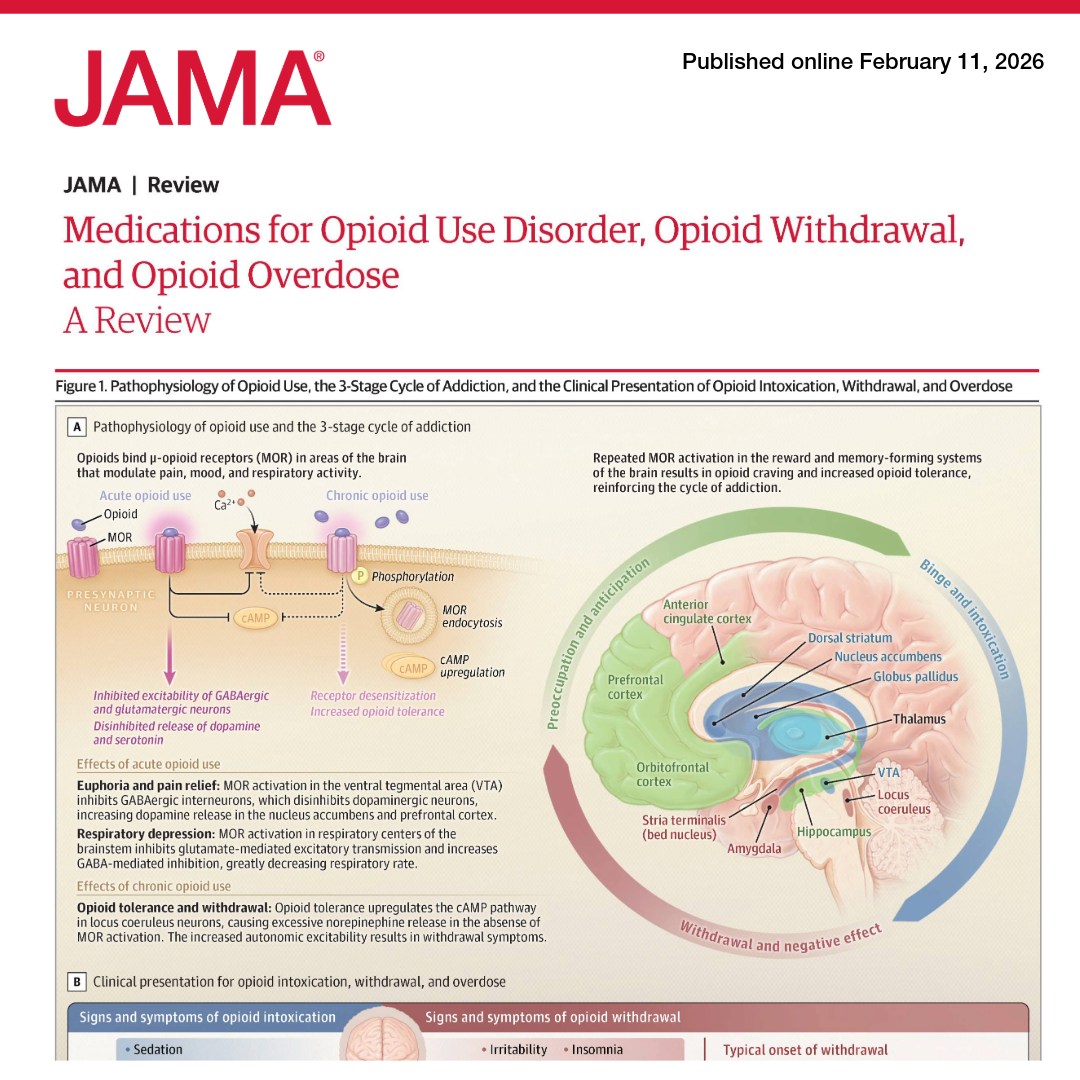 JAMA - An estimated 61 million people used unregulated opioids in 2023 ...