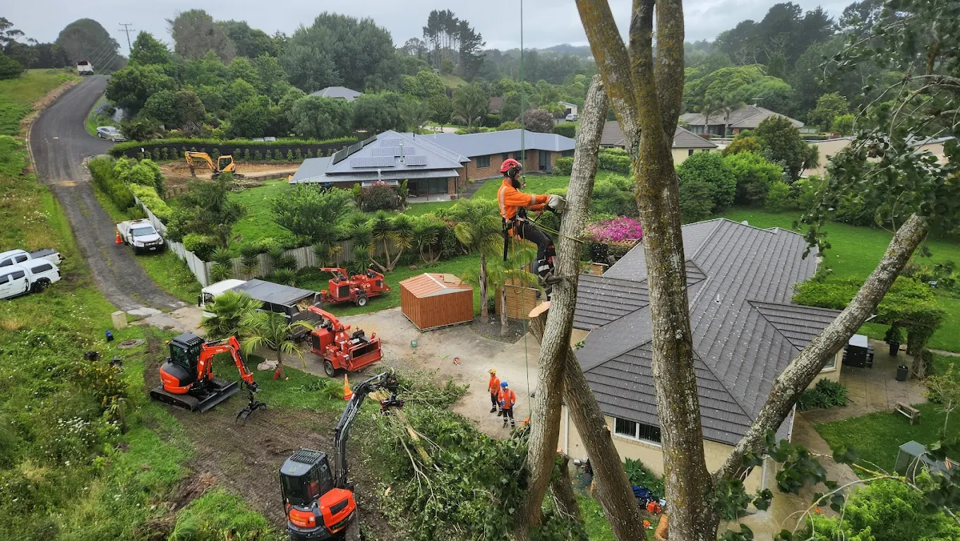 The Tree Ninja Ltd | Pukekohe East