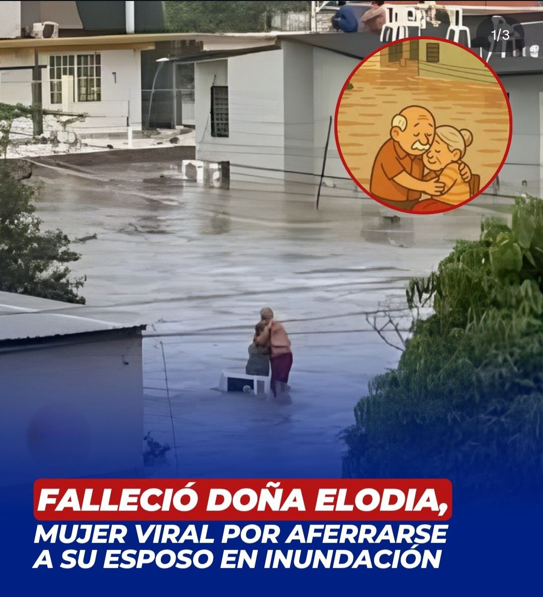 InformeconGalvez.com - La presidenta de la Confederación Patronal de la ...