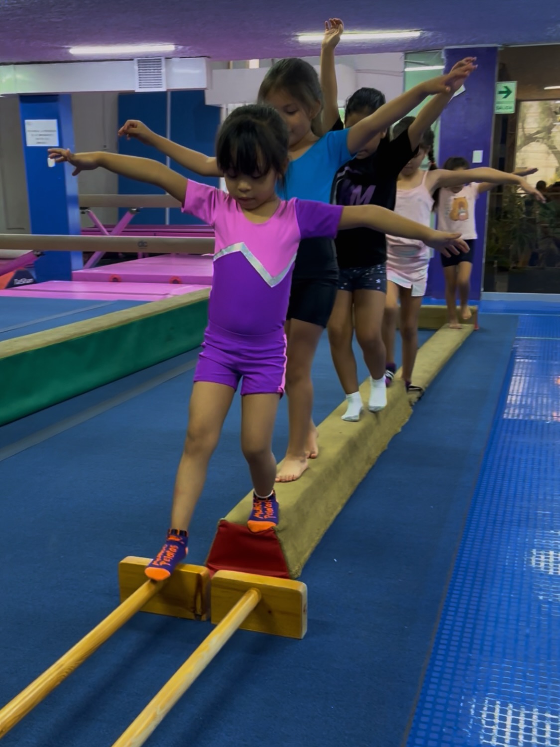 Deporclub Academia de Gimnasia Artística | La Molina