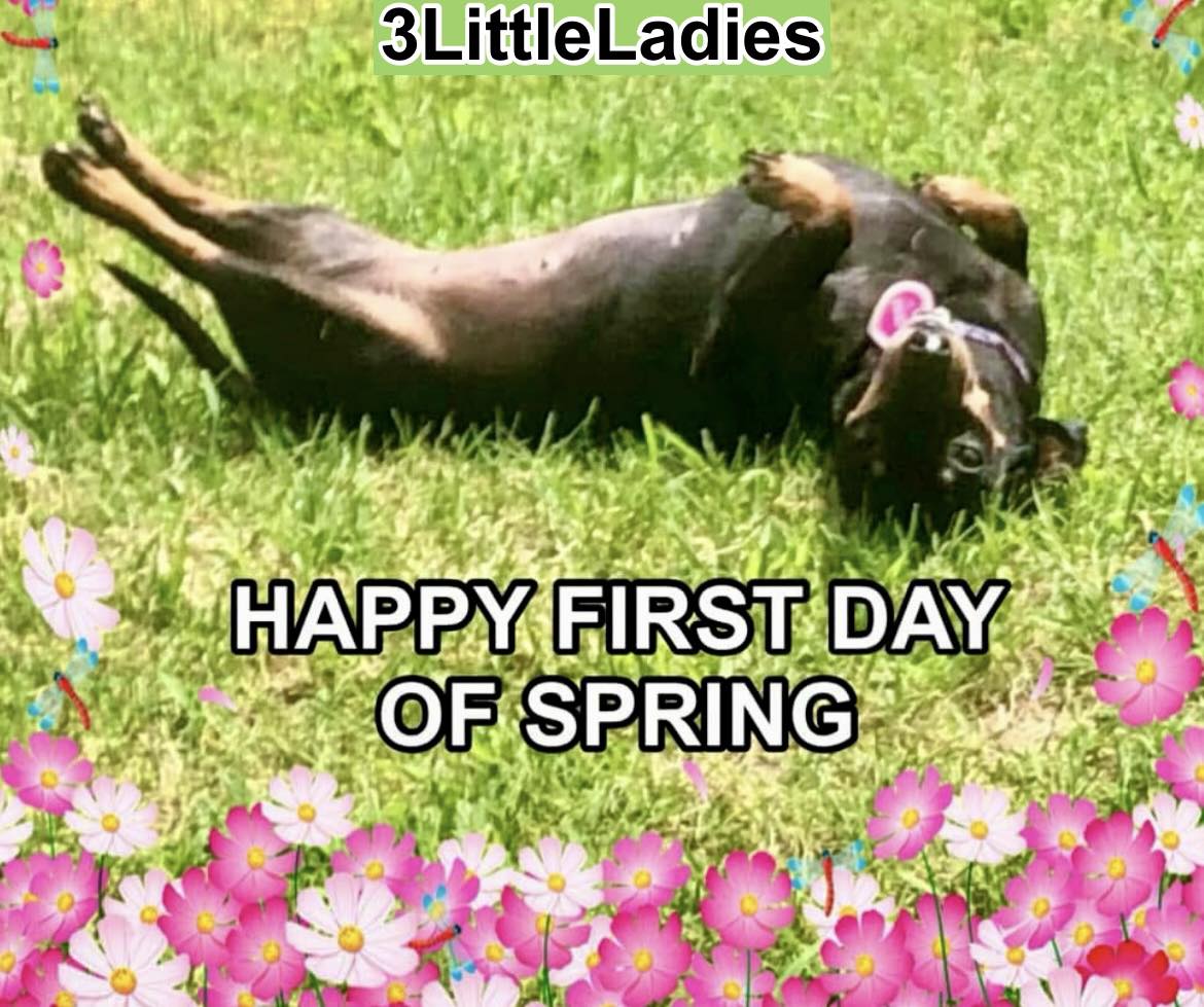 Yippee! It's Friday and the first day of spring. Bring on the nice