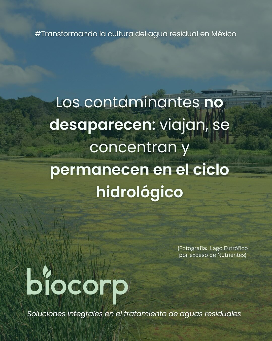 Biocorp México - 💧El agua que usamos regresa a los... | Facebook