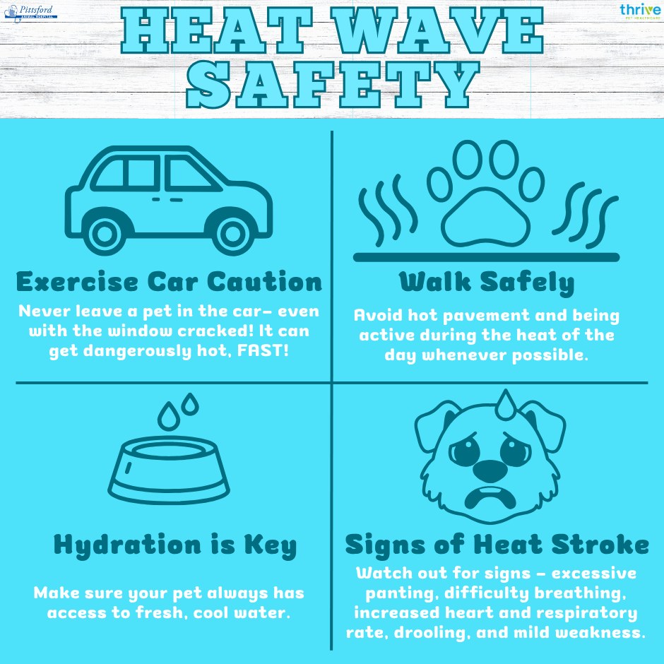 Pittsford - ☀As the temperatures rise, it’s important to take ...