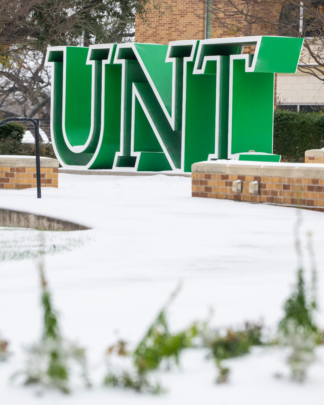 University of North Texas | Denton TX