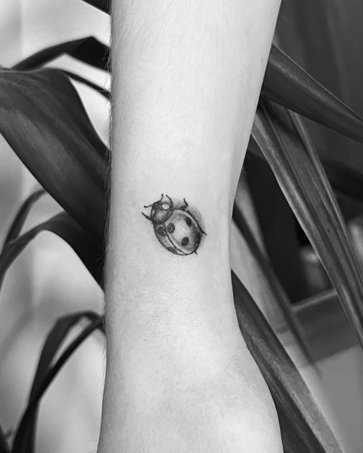 Tatouage Coccinelle Noir Et Blanc