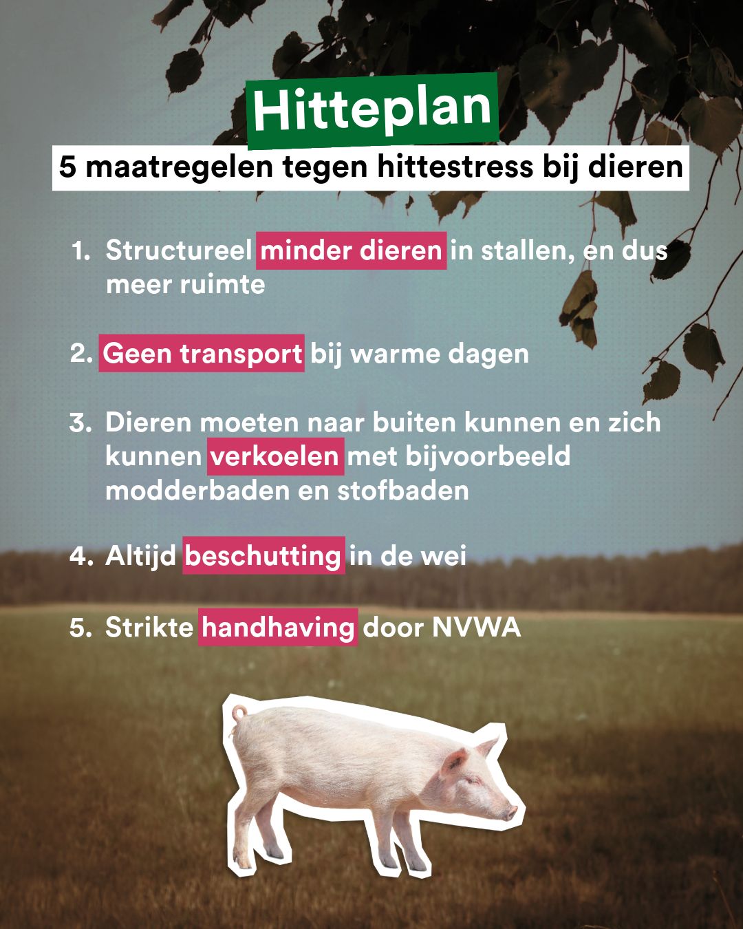 Partij voor de Dieren added a new... - Partij voor de Dieren
