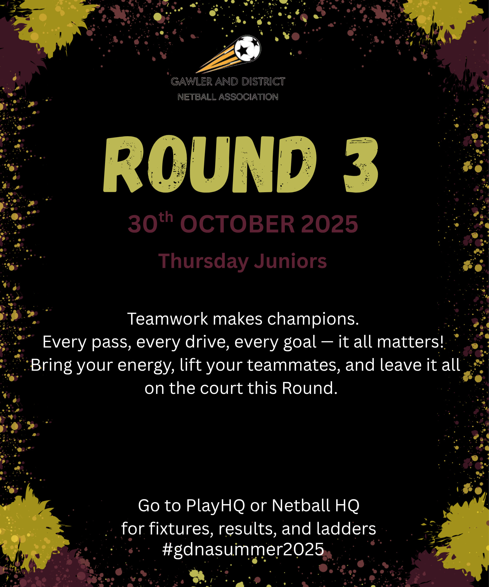 Gawler and District Netball Association - Grand Final ** MEGA RAFFLE ...