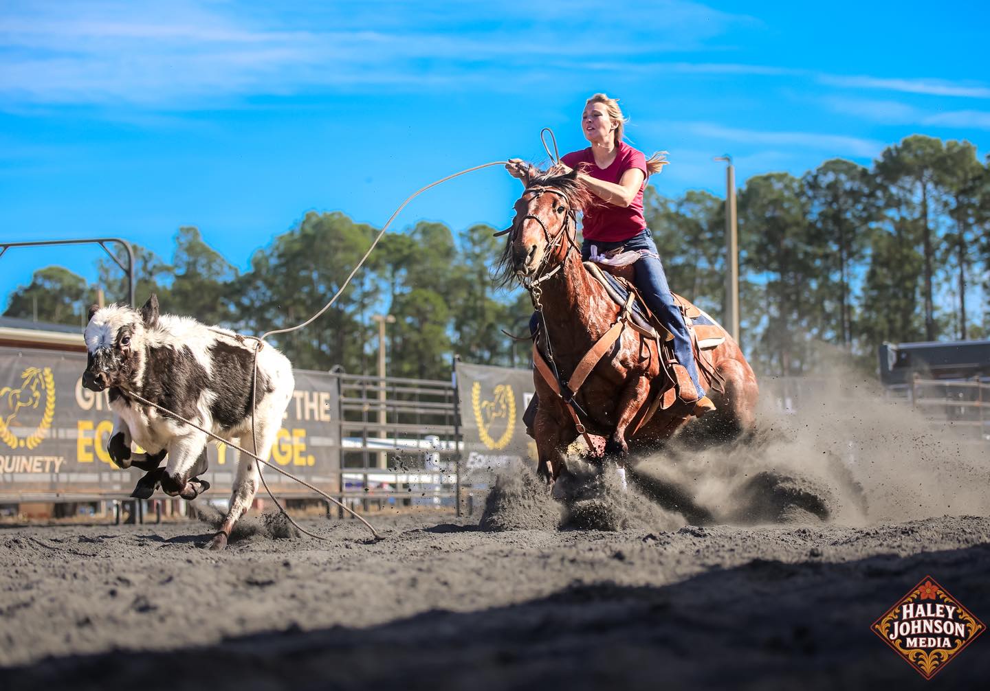 JX2 and NTRL Team Roping added... - JX2 and NTRL Team Roping