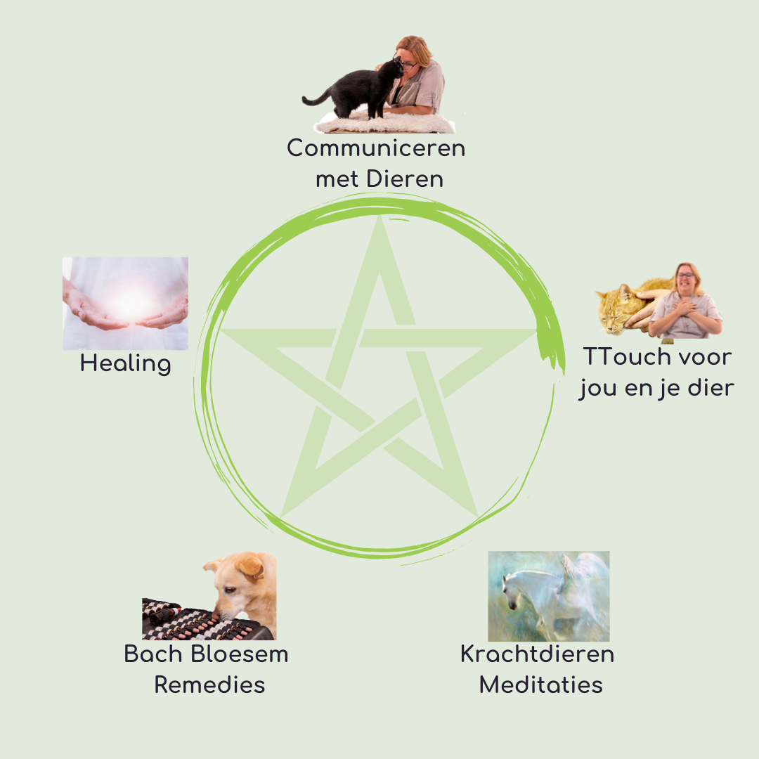 Ellen Lichteveld - AnimalWise Coaching - Misschien heb je het wel eens ...