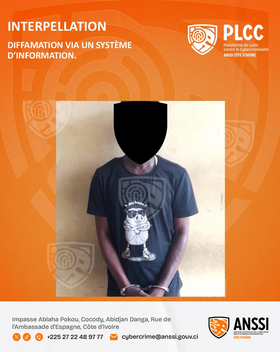 DIFF... - Plcc- Plateforme de Lutte Contre la Cybercriminalité | Facebook