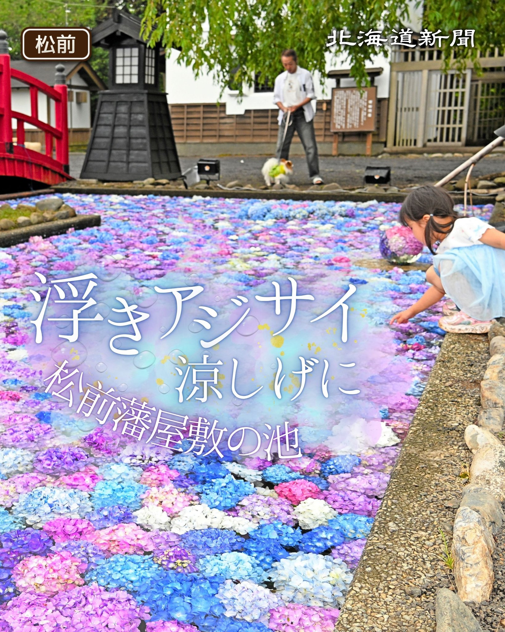 北海道新聞デジタル：北海道新聞のニュースサイト - 【きょうの無料