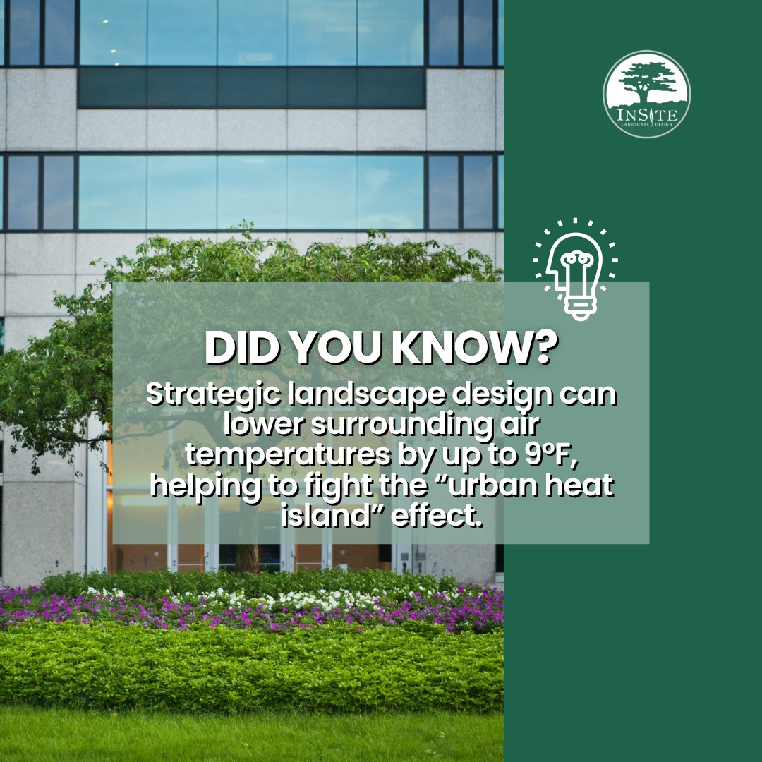 InSite - How to Cool Urban Spaces with Smarter Landscape Design Did You ...