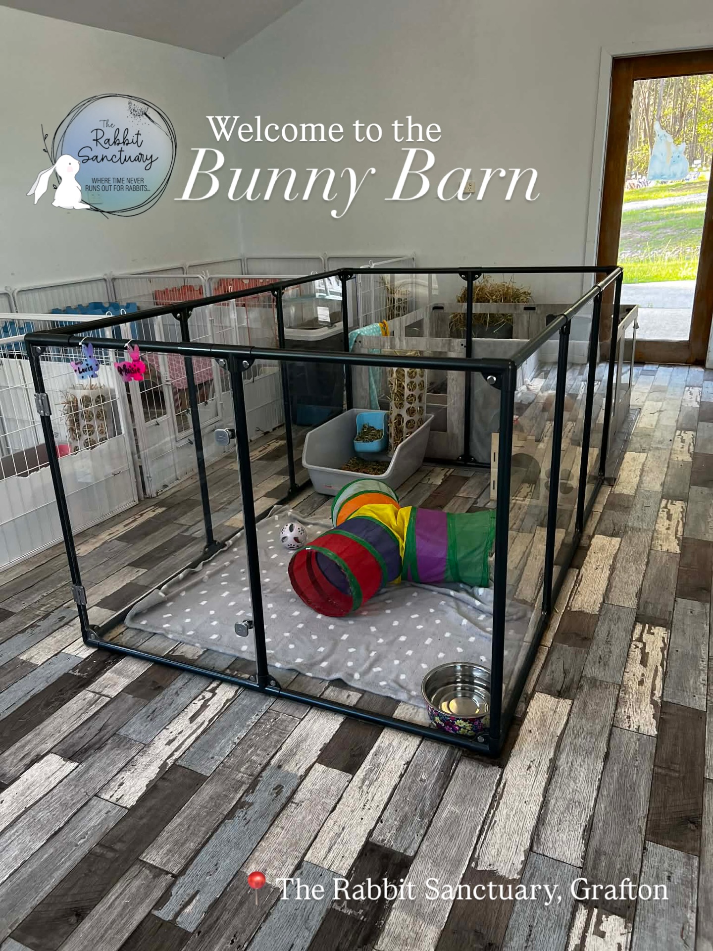 Did you know about the Bunny Barn... - The Rabbit Sanctuary | Facebook