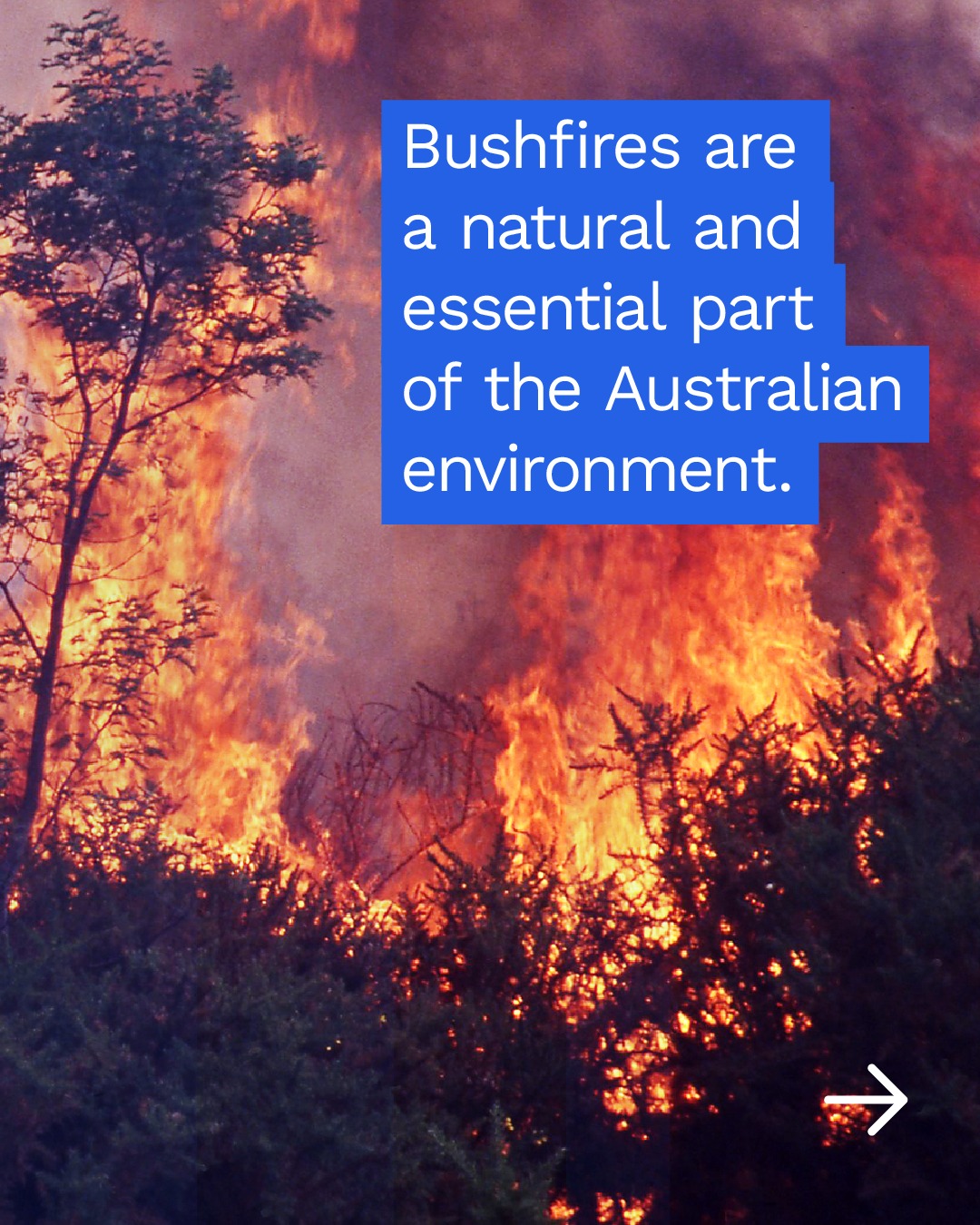 Sassafras-Ferny... - Sassafras-Ferny Creek Fire Brigade CFA