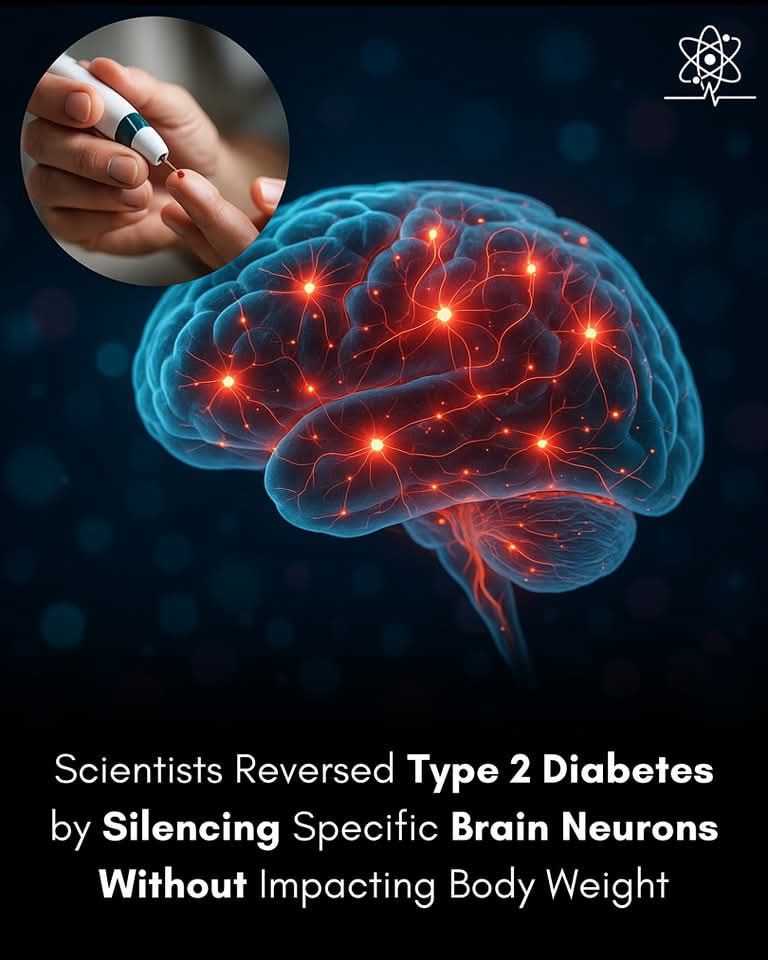 Semaglutide's brain nerve cells linked to weight loss