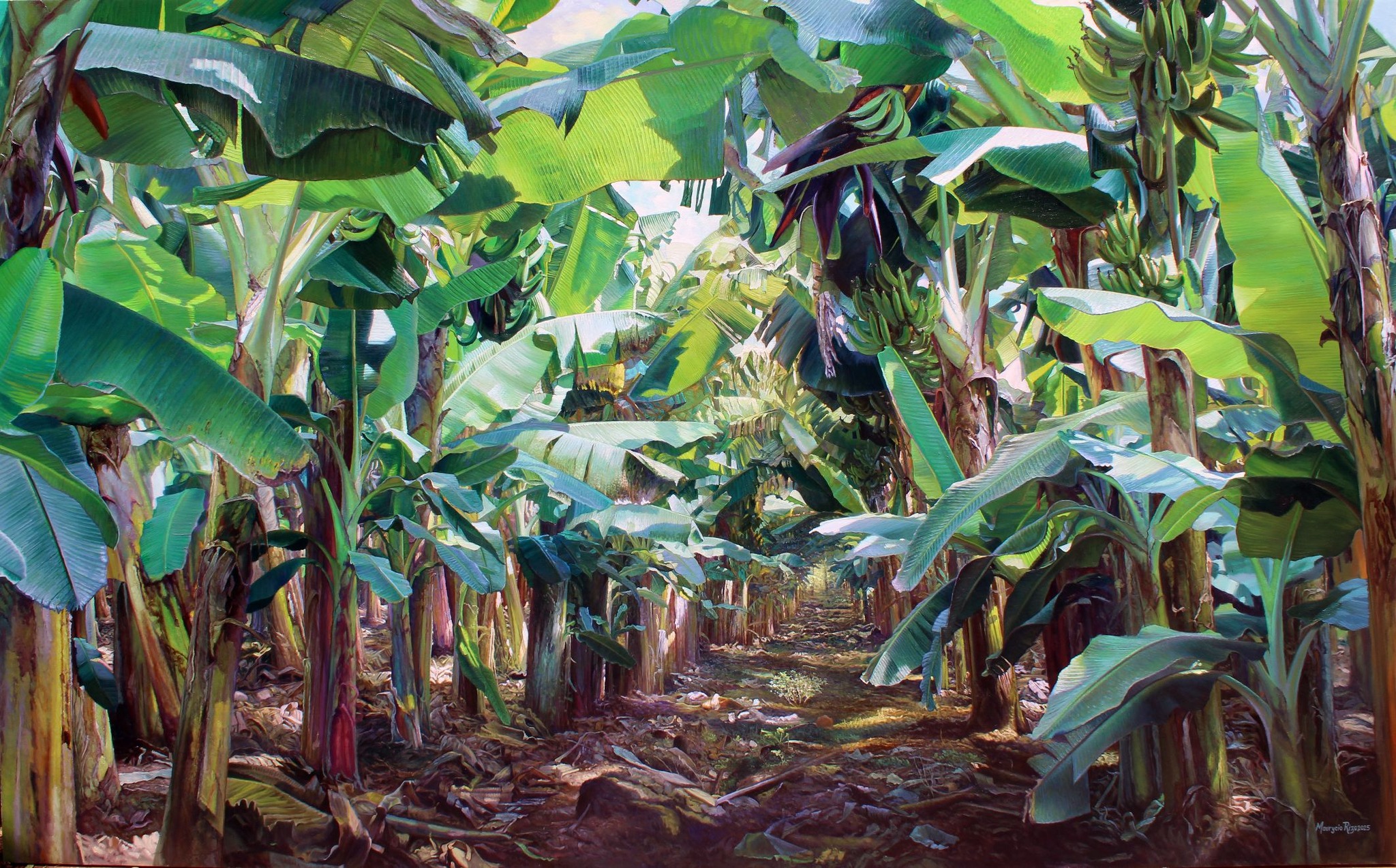 (Mauricio Rizo C) rizoart