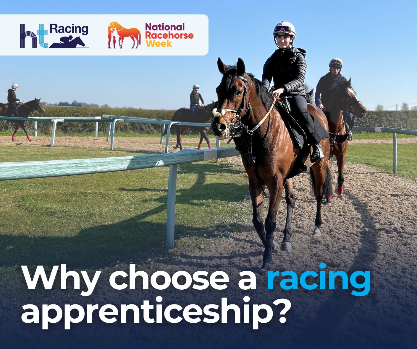 Haddon - It’s National Racehorse Week! 🏇 Thinking about a career in ...