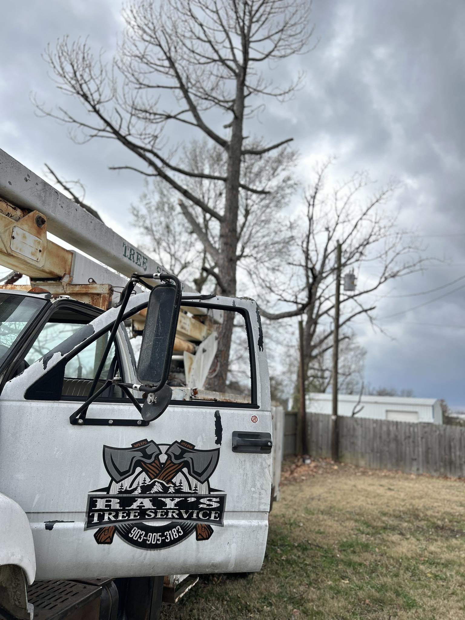 Rays Tree Service