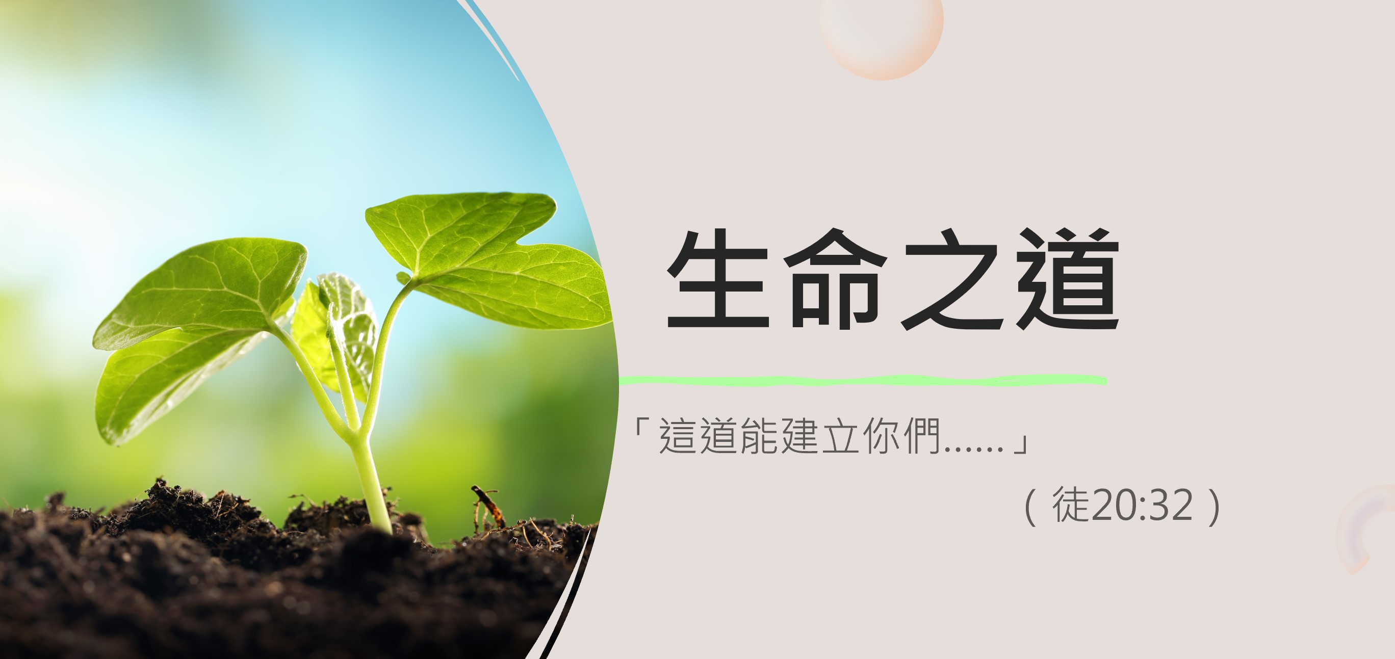 生命之道