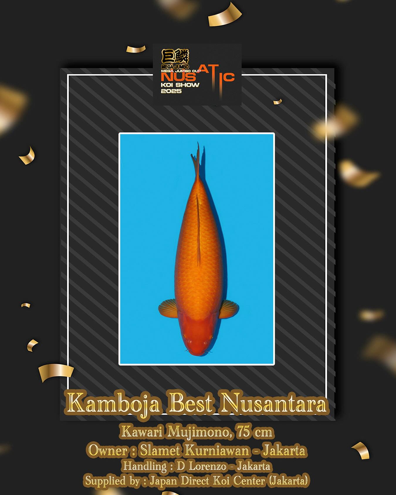 Japan - Big congratulations !! Mega Jumbo Cup Nusatic Koi Show 2025 # ...