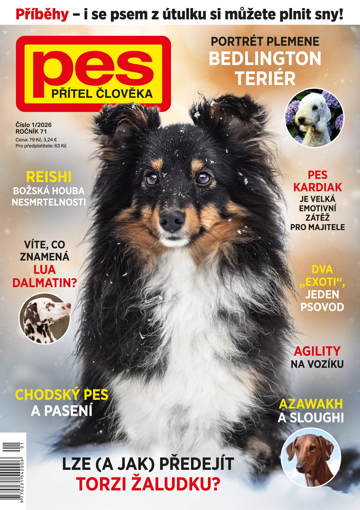 Pes přítel člověka - Dnes začíná Evropská výstava v Kyjevě! Ve dnech 24 ...