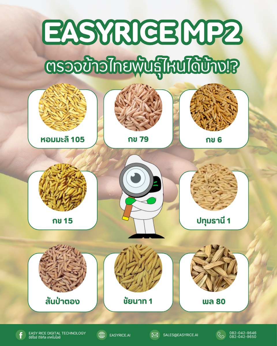 Easy Rice Digital Technology - อีซีไรช์ ดิจิทัล เทคโนโลยี | Bangkok