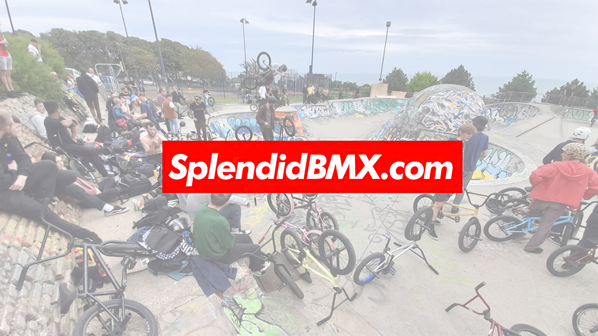 JOIN THE CHEEKY... - Cheeky Monkey Productions BMX Videos | Facebook