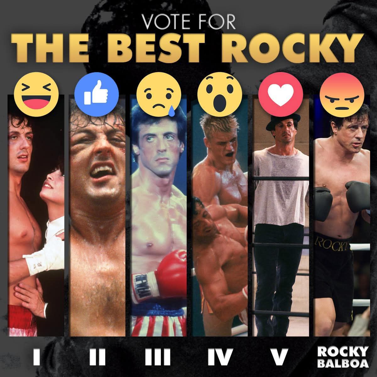 Rocky - It's tough to choose just one! #Rocky | Facebook