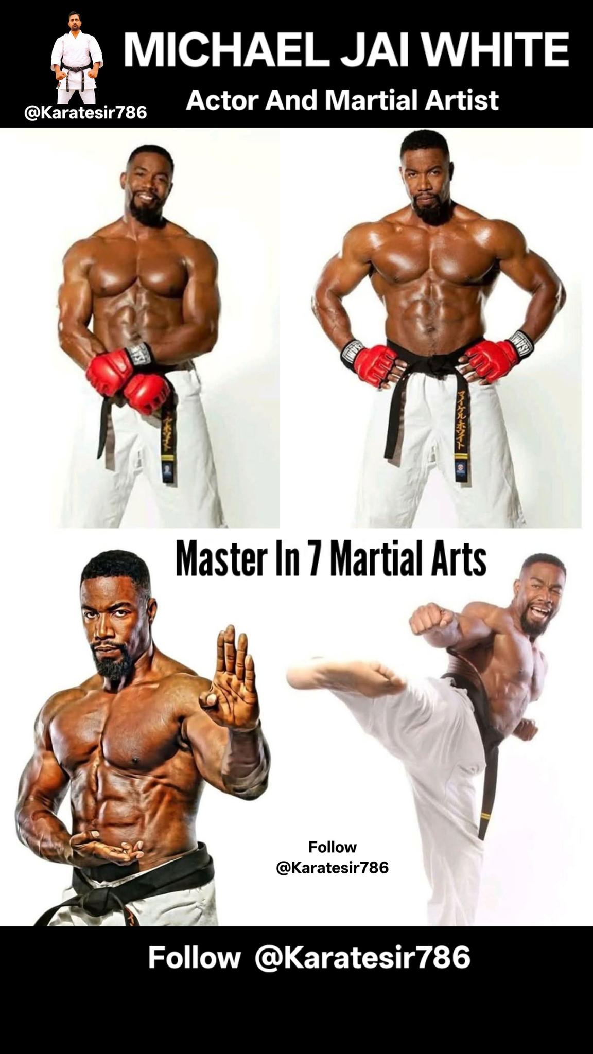 KARATE - Michael Jai White is a renowned actor and martial artist who ...