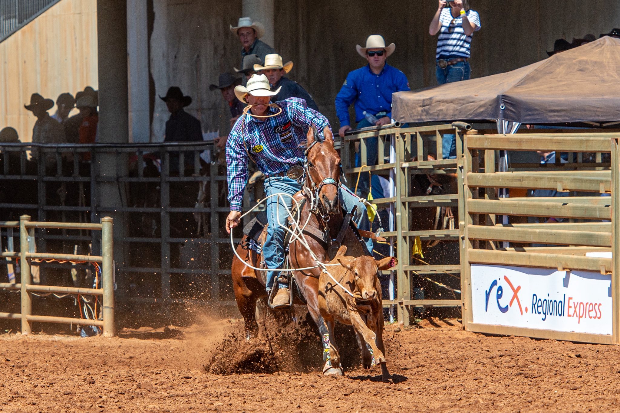 LIVE 🔴 Chillagoe Rodeo 2026 | Livestream 🔗 https://tvstream24.com ...