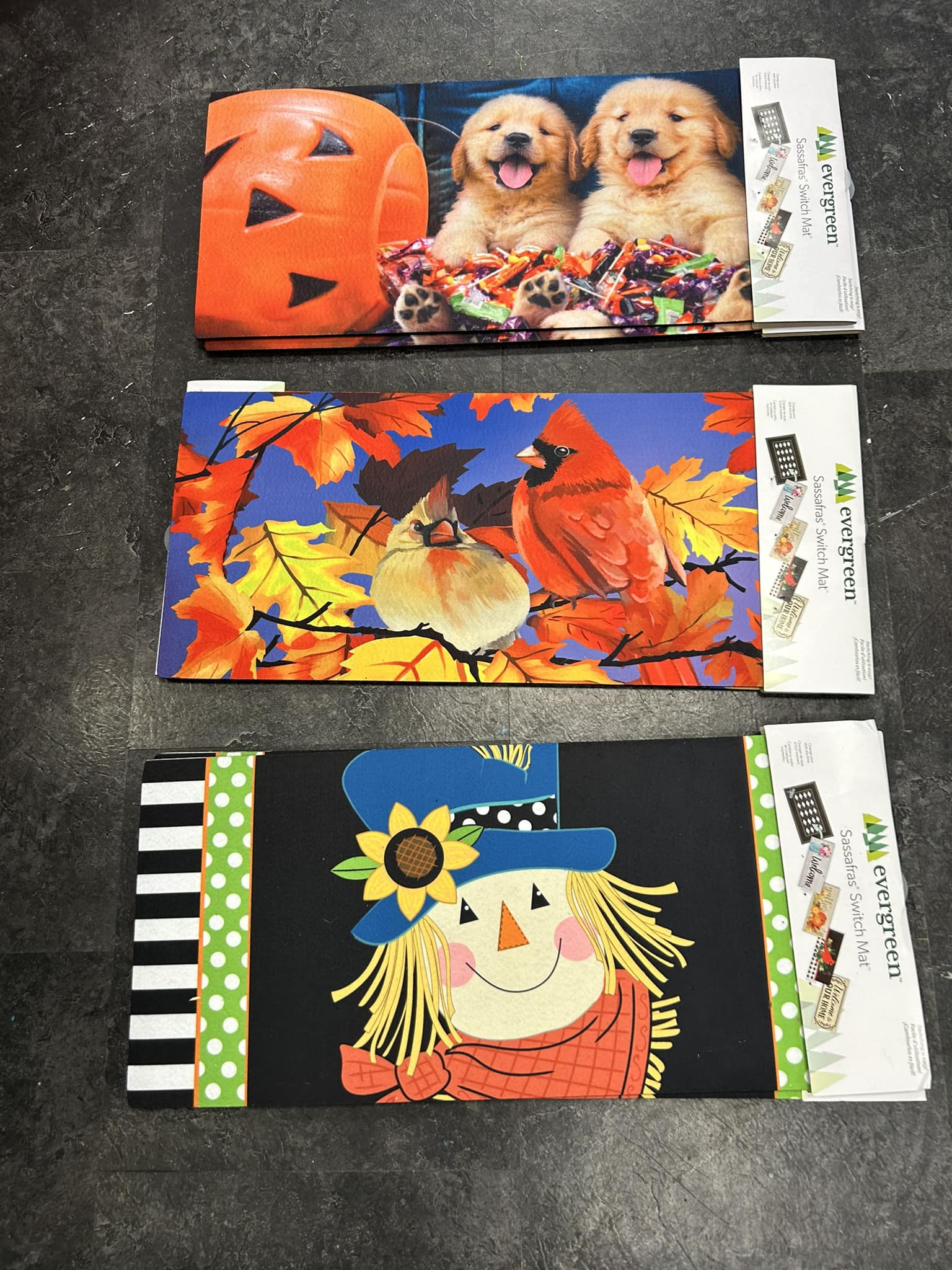 New stock. Fall inserts! - Simply Unique Flowers & Gifts