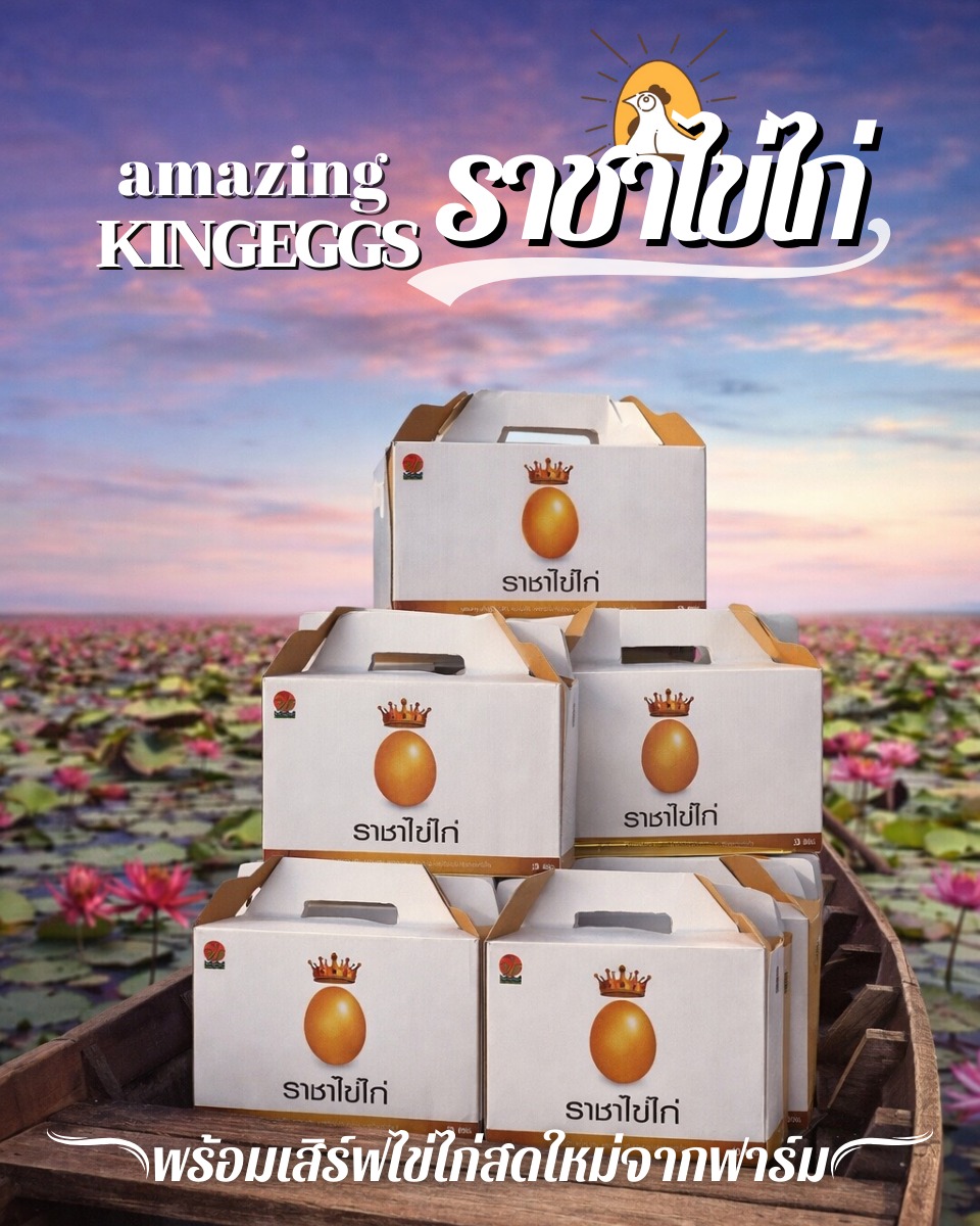 คิงส์ เอ้กส์ -... - คิงส์ เอ้กส์ - ราชาไข่ไก่ - King Eggs