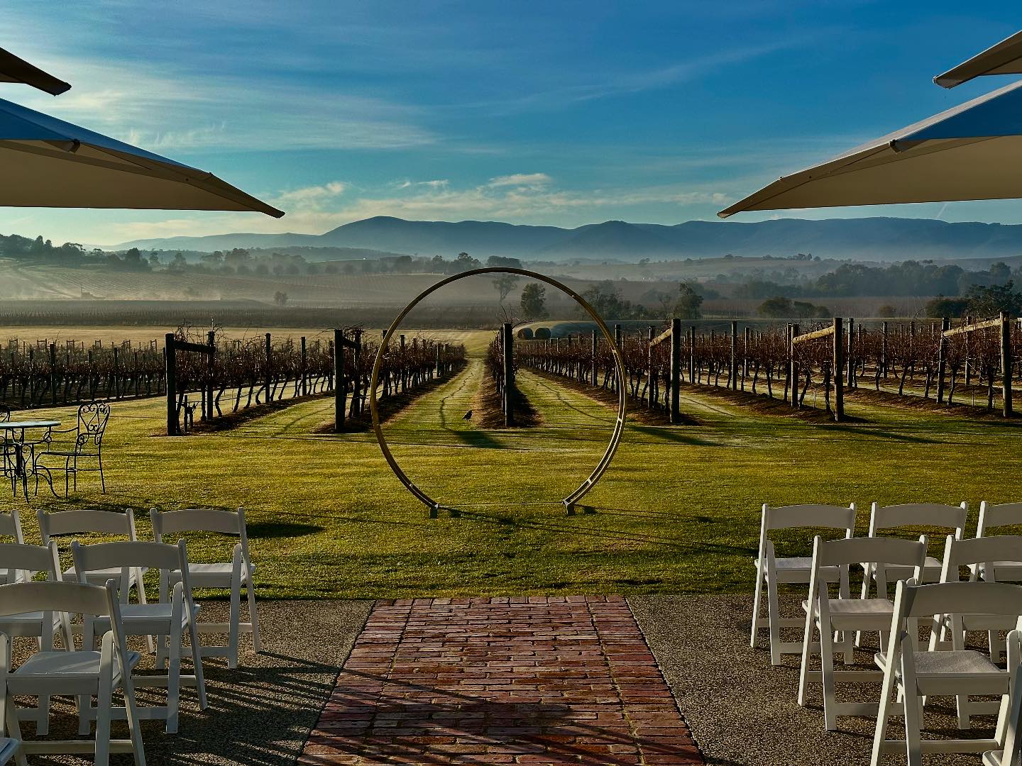 Acacia Ridge Vineyard... - Acacia Ridge Vineyard Yarra Valley