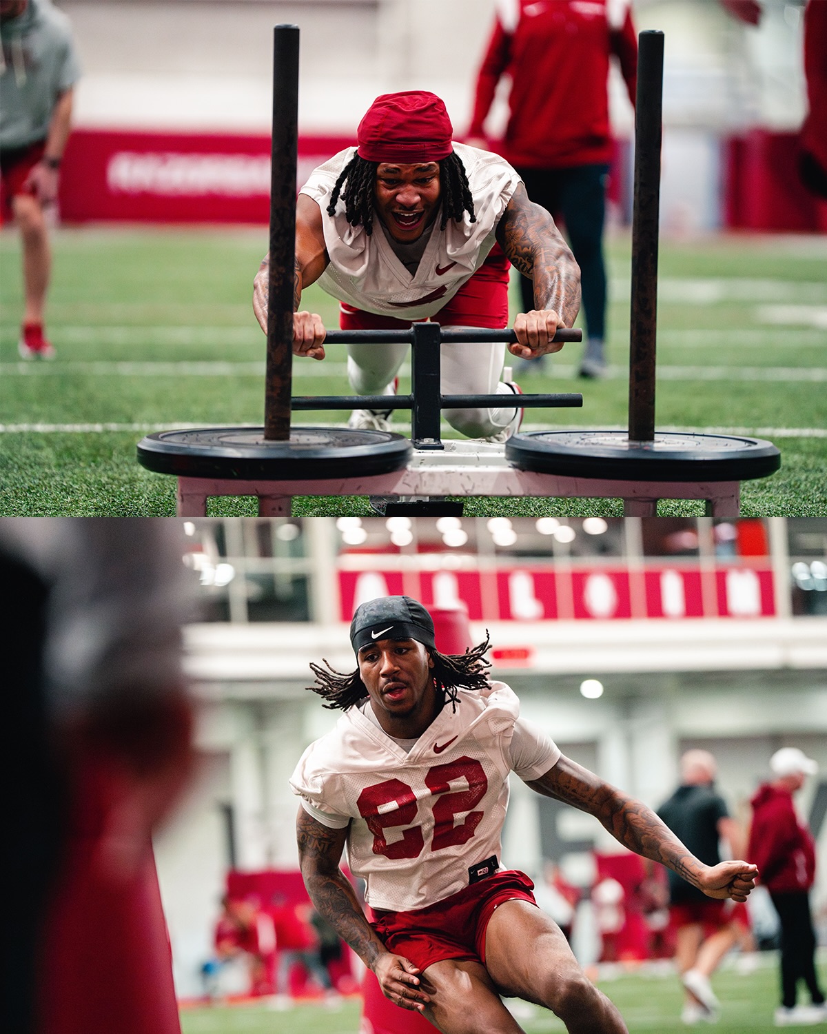 Arkansas Razorback Football... - Arkansas Razorback Football