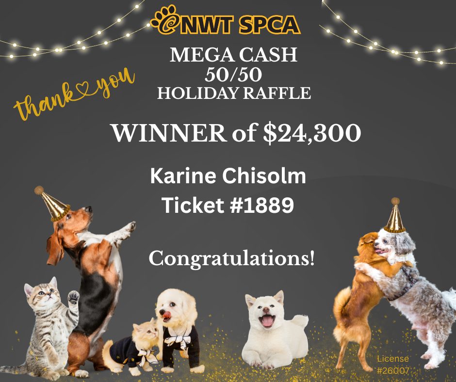 NWTSPCA - 🎉 AND THAT’S A WRAP! 🎉 Our final raffle of 2025 has a winner ...