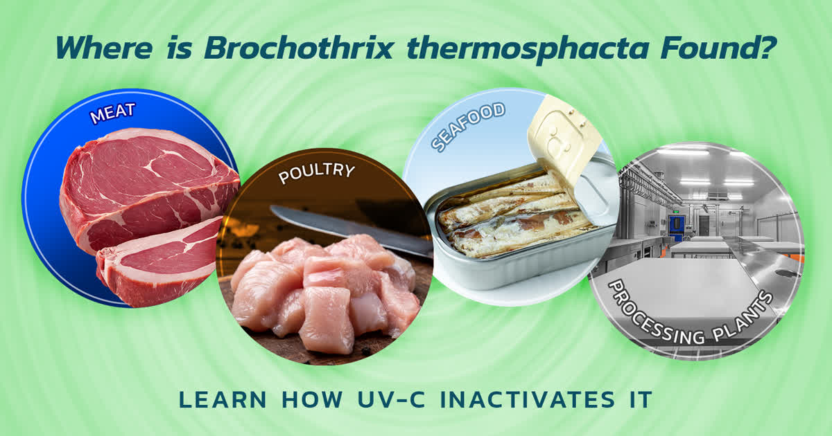 Atlantic - Where is Brochothrix thermosphacta found? Learn How UV-C ...