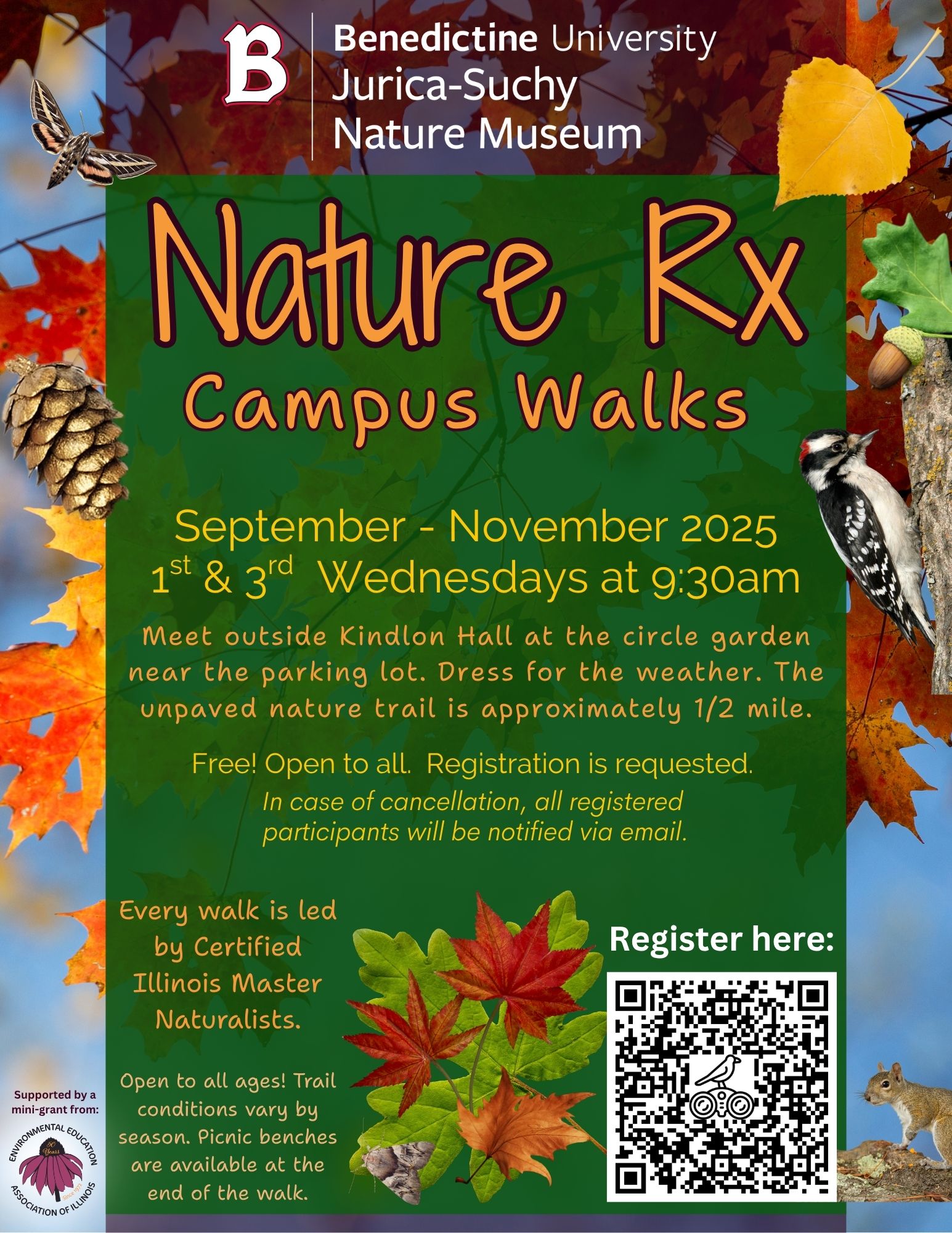 Nature Rx: Campus Walks (Naturalist Led)