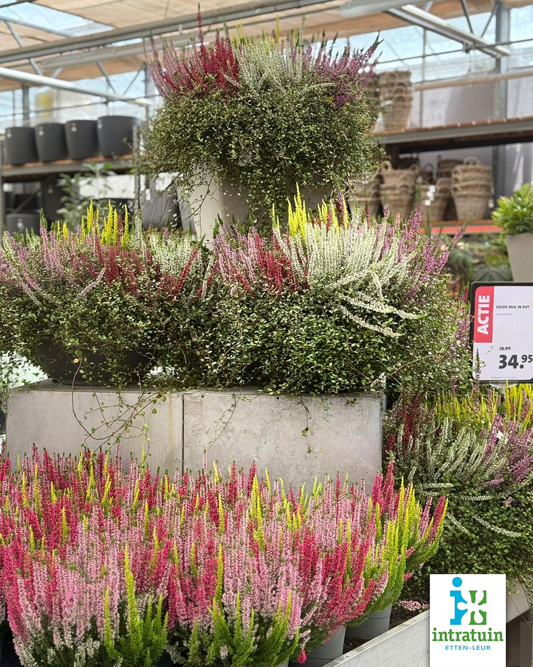Intratuin Etten-Leur | Etten-Leur