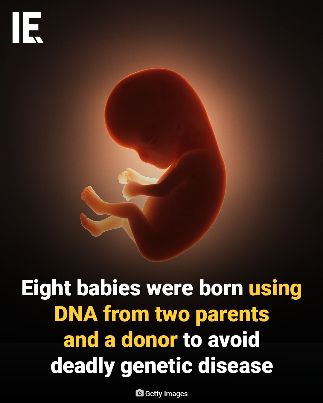 How are mitochondria rejuvenated in offspring?