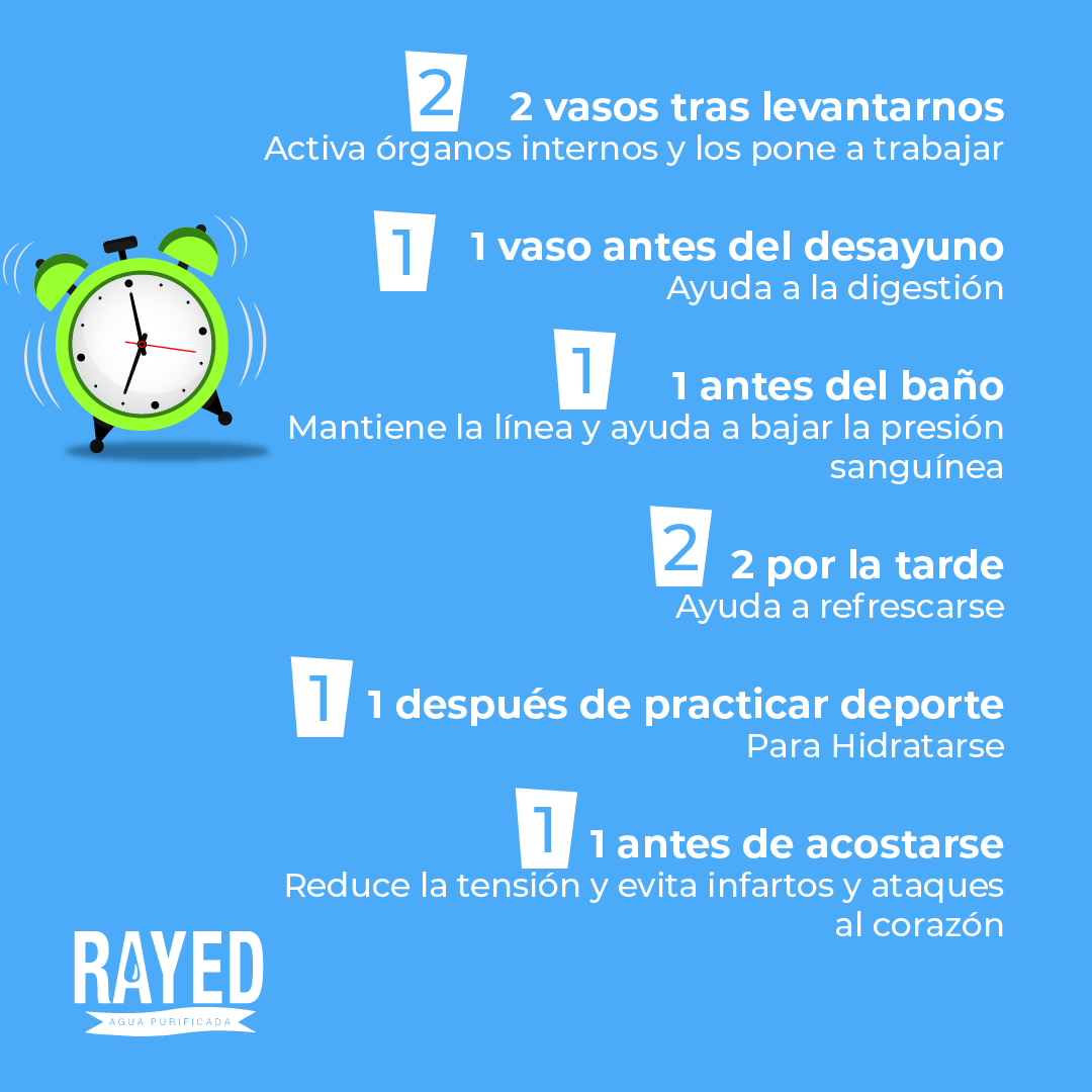 RAYED - Agua purificada