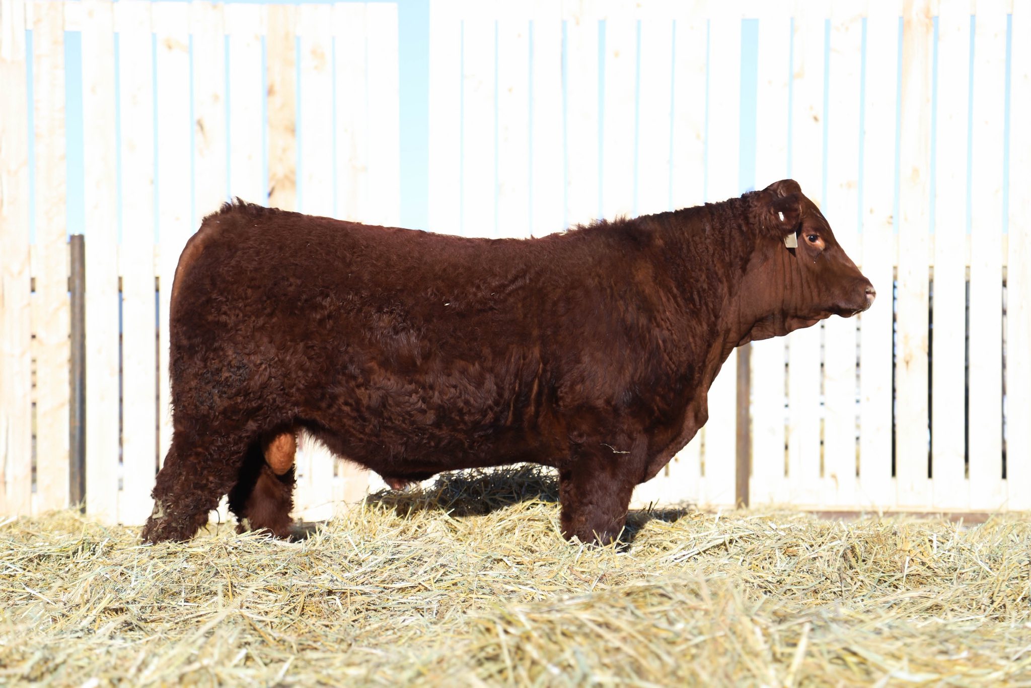 Prouse Ranch | Sheho SK