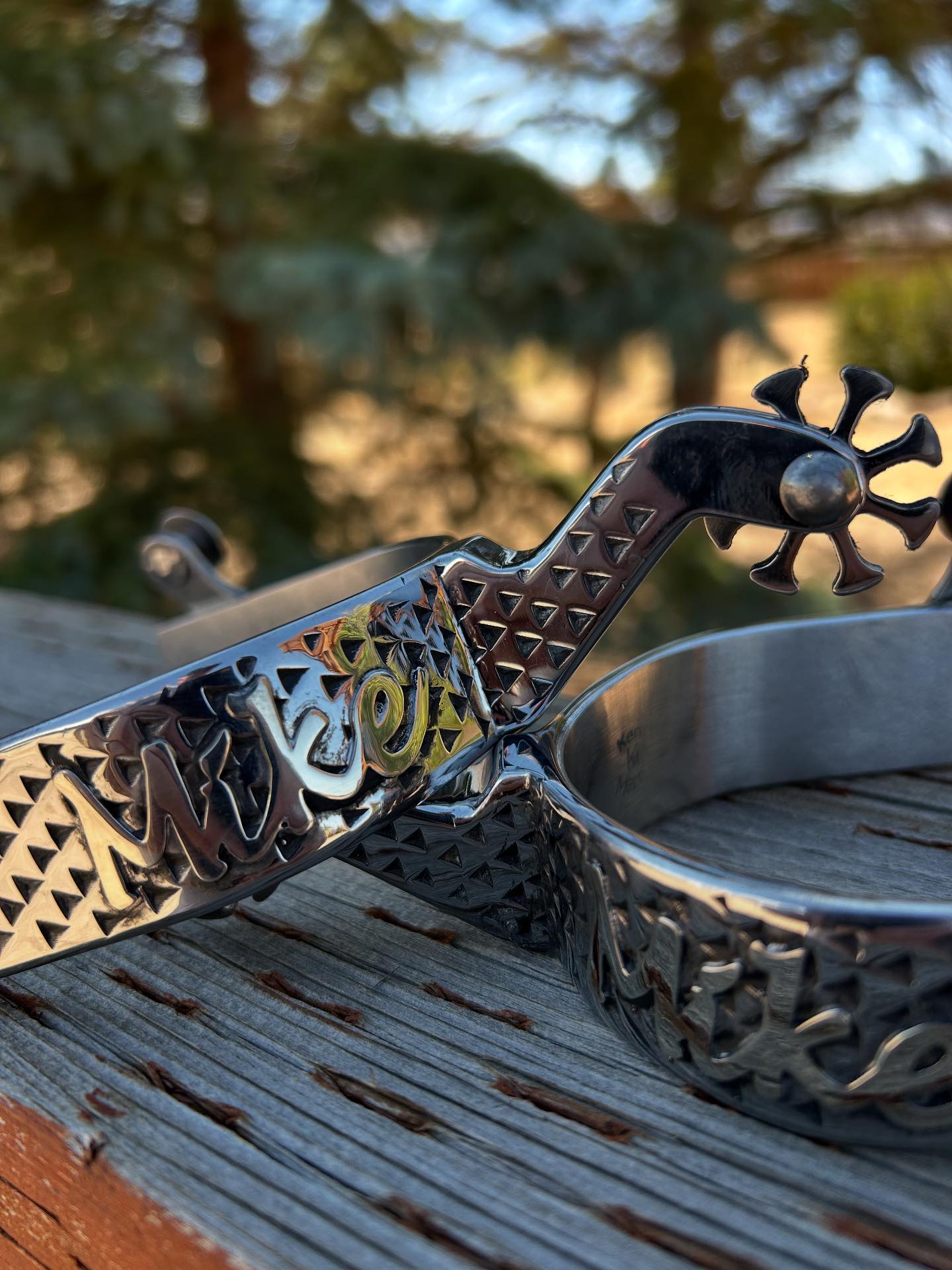 Rasp spurs bits and buckles | West Jordan UT