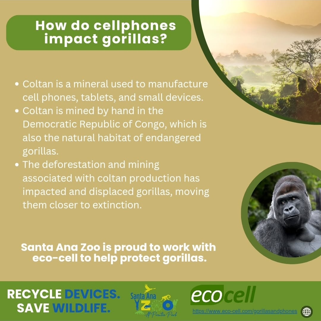 Santa Ana Zoo - Santa Ana Zoo added a new photo.