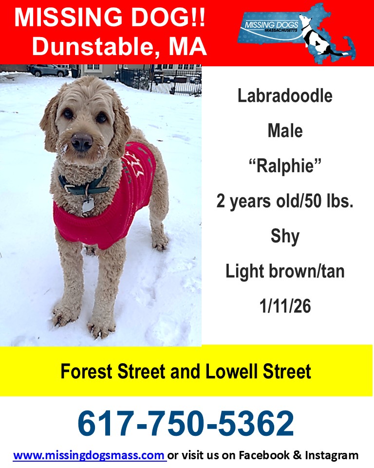 Missing Dogs Massachusetts